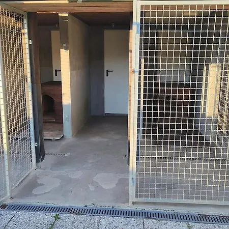 Pocitniska Hiska V Gozdnem Raju Crni Vrh