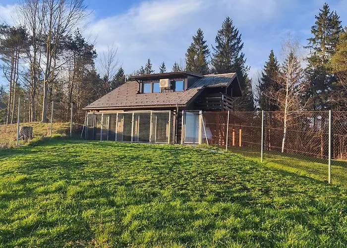 Pocitniska Hiska V Gozdnem Raju * Črni Vrh