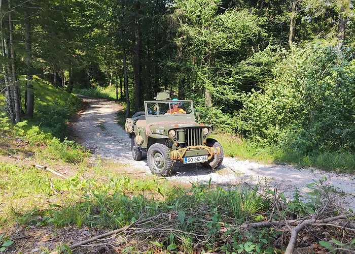 Pocitniska Hiska V Gozdnem Raju * Crni Vrh