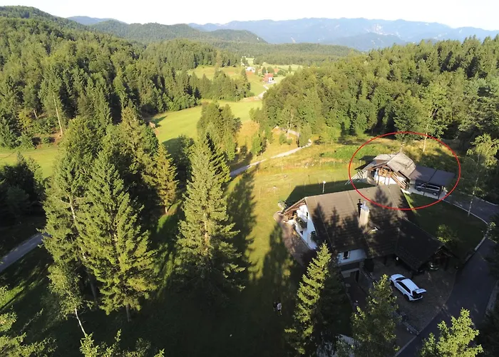 Pocitniska Hiska V Gozdnem Raju * Črni Vrh