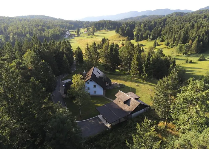 Pocitniska Hiska V Gozdnem Raju Počitniška hiša